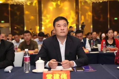 《青萍》LRC歌词 《青萍》(齐晨)歌词555uuu下载