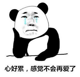 《我的心不会再给别的谁》LRC歌词 《我的心不会再给别的谁》(张师羽)歌词555uuu下载