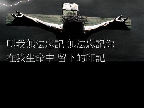 《我无法忘记你》LRC歌词 《我无法忘记你》(武圣迪)歌词555uuu下载