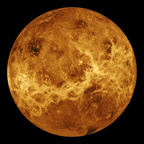 《Venus》LRC歌词 《Venus》(Lady,GaGa)歌词555uuu下载