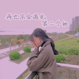《再也不会遇见第二个她》LRC歌词 《再也不会遇见第二个她》(李哈哈&威仔)歌词555uuu下载