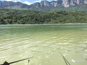 《岁月神偷》LRC歌词 《岁月神偷》(周笔畅)歌词555uuu下载