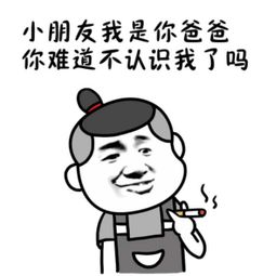 《儿子,我是你爸爸》LRC歌词 《儿子,我是你爸爸》(王宝)歌词555uuu下载