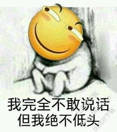 《不敢》LRC歌词 《不敢》(胡彦斌)歌词555uuu下载