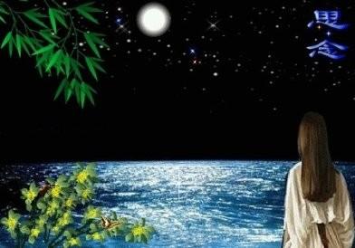 《在没有你的夜晚》LRC歌词 《在没有你的夜晚》(张艺婷)歌词555uuu下载
