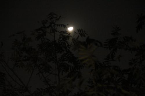 《夜里很容易悲伤的我》LRC歌词 《夜里很容易悲伤的我》(徐真真)歌词555uuu下载