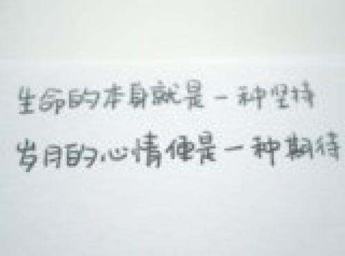 《选你所爱》LRC歌词 《选你所爱》(刘涛)歌词555uuu下载