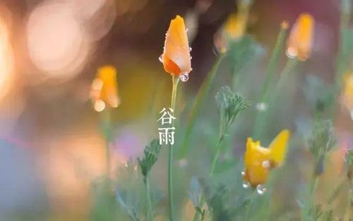 《告别的季节》LRC歌词 《告别的季节》(刘明辉)歌词555uuu下载