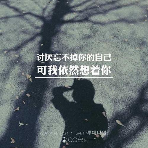 《忘不掉你》LRC歌词 《忘不掉你》(张欣宇)歌词555uuu下载