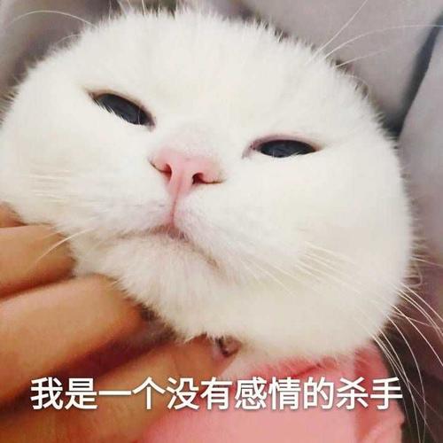《一半的心疼》LRC歌词 《一半的心疼》(木森)歌词555uuu下载