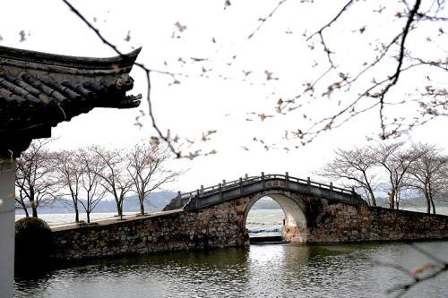 《再探清水河》LRC歌词 《再探清水河》(居子涵、蔷薇乐队)歌词555uuu下载