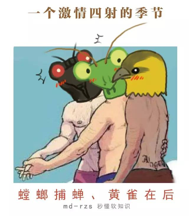 《细雨相思》LRC歌词 《细雨相思》(叶洛洛)歌词555uuu下载