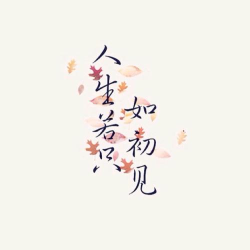 《人生若只如初见》LRC歌词 《人生若只如初见》(曹艺馨)歌词555uuu下载