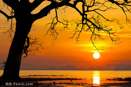 《Sunset》LRC歌词 《Sunset》(Robynn,&,Kendy)歌词555uuu下载