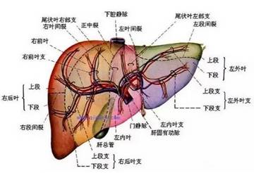 《心怕痛》LRC歌词 《心怕痛》(苏有朋)歌词555uuu下载
