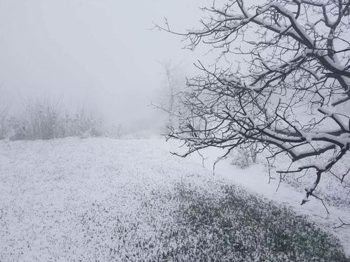 《听说老家下雪了》LRC歌词 《听说老家下雪了》(龙梅子,徐子淳)歌词555uuu下载