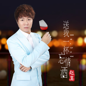 《送我一杯忘情酒》LRC歌词 《送我一杯忘情酒》(赵真)歌词555uuu下载