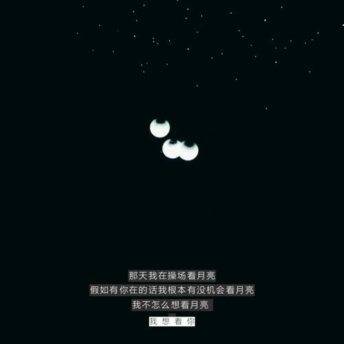 《我想陪你看月亮》LRC歌词 《我想陪你看月亮》(骆海燕)歌词555uuu下载