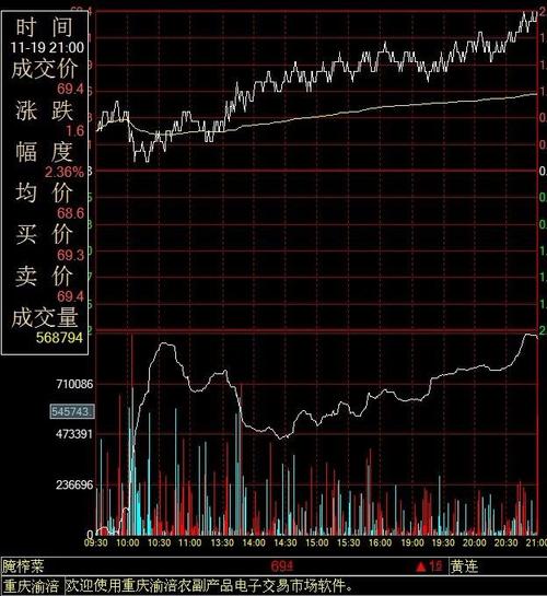 《纹风不动》(薛凯琪)歌词555uuu下载