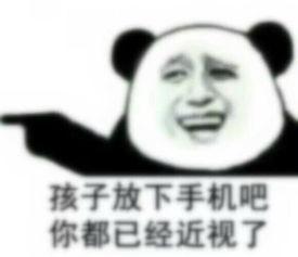 《放下你的手机》LRC歌词 《放下你的手机》(宁新兵)歌词555uuu下载
