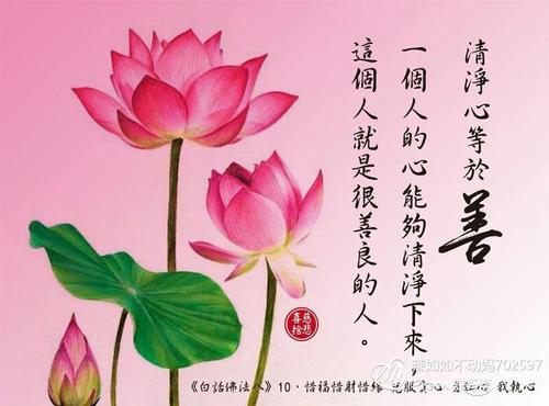 《佛语说》LRC歌词 《佛语说》(刘清)歌词555uuu下载