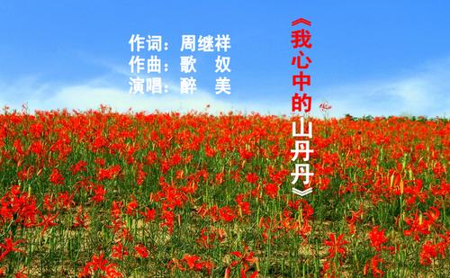 《我心中的山丹丹》LRC歌词 《我心中的山丹丹》(醉美)歌词555uuu下载