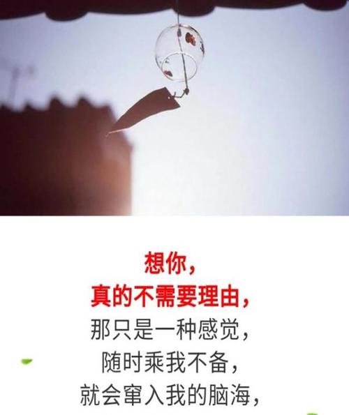 《想你不需要理由》(张鹏,曾丽)歌词555uuu下载