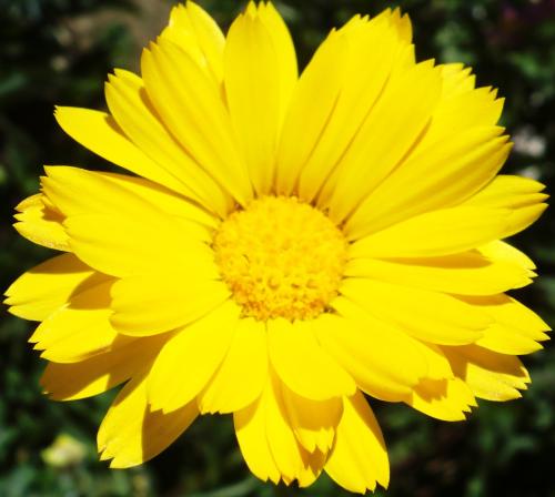 《Yellow》LRC歌词 《Yellow》(李文慧)歌词555uuu下载