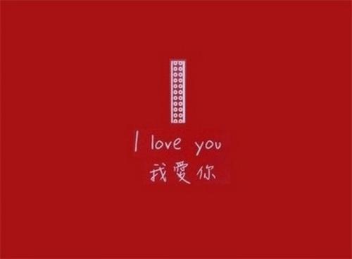《你说我爱你不是很多》(张津涤)歌词555uuu下载