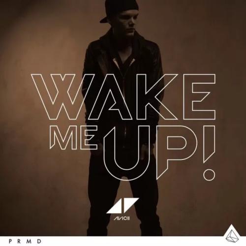 《Wake Me Up》LRC歌词 《Wake Me Up》(无限王者团)歌词555uuu下载