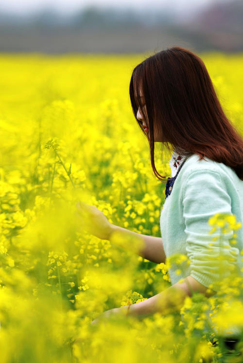 《花开花谢花满天》LRC歌词 《花开花谢花满天》(雷龙)歌词555uuu下载