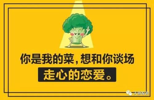 《你是我的菜》LRC歌词 《你是我的菜》(阿伊米拉)歌词555uuu下载
