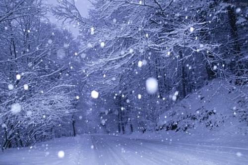 《下个冬天谁能陪我看雪》LRC歌词 《下个冬天谁能陪我看雪》(孙百慧)歌词555uuu下载