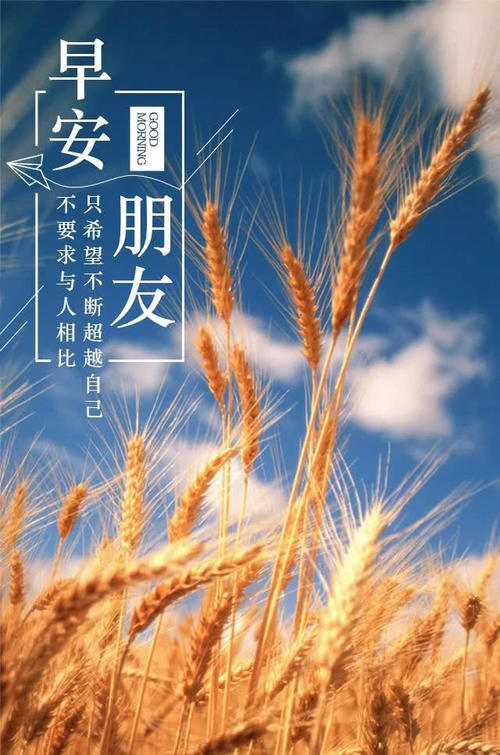 《新的一天》LRC歌词 《新的一天》(郑云龙)歌词555uuu下载