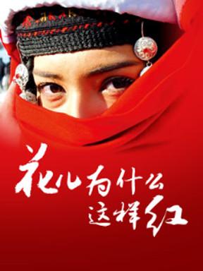 《花儿为什么还这样红》LRC歌词 《花儿为什么还这样红》(黄琦雯)歌词555uuu下载