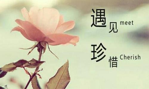《世界请你去珍惜》LRC歌词 《世界请你去珍惜》(杨一郎)歌词555uuu下载