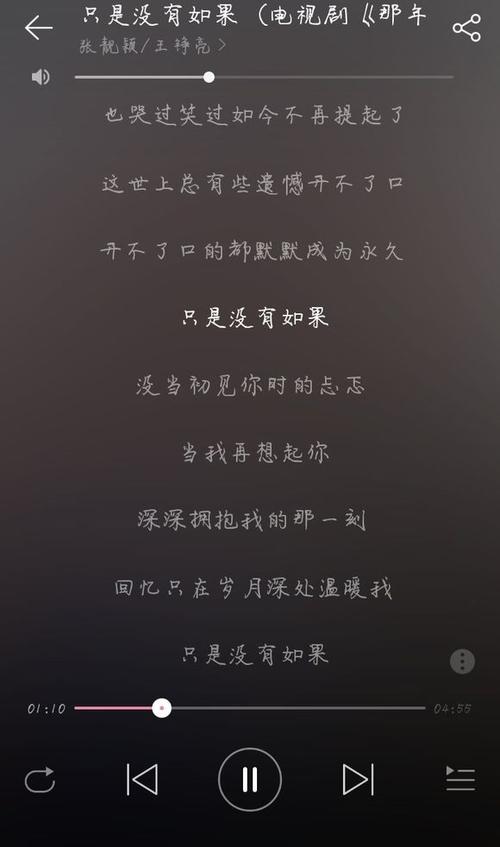 《如果某一天》(祁梓珅)歌词555uuu下载