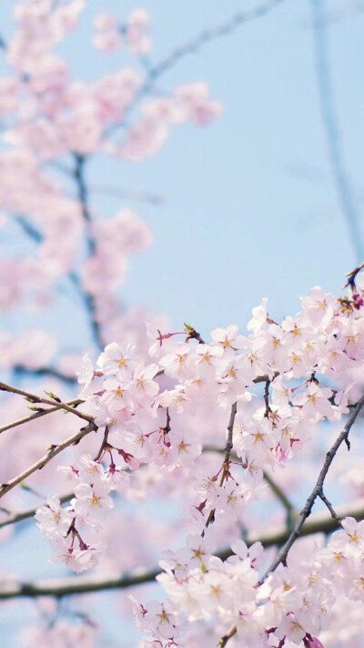 《三月六》LRC歌词 《三月六》(艾芒)歌词555uuu下载