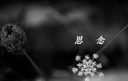 《思念的伤痛》LRC歌词 《思念的伤痛》(冷酷)歌词555uuu下载