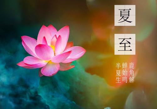 《花开不等待》LRC歌词 《花开不等待》(斯兰)歌词555uuu下载