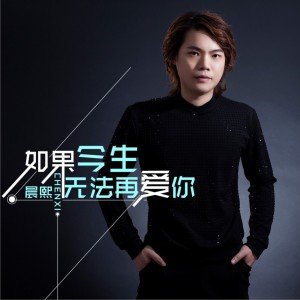 《如果今生无法再爱你》LRC歌词 《如果今生无法再爱你》(晨熙)歌词555uuu下载