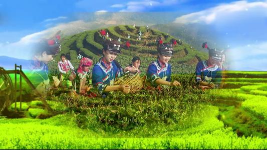《采茶扑蝶》LRC歌词 《采茶扑蝶》(李谷一)歌词555uuu下载