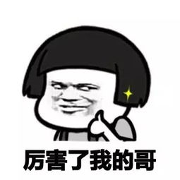 《厉害了我的哥》LRC歌词 《厉害了我的哥》(小蕾)歌词555uuu下载