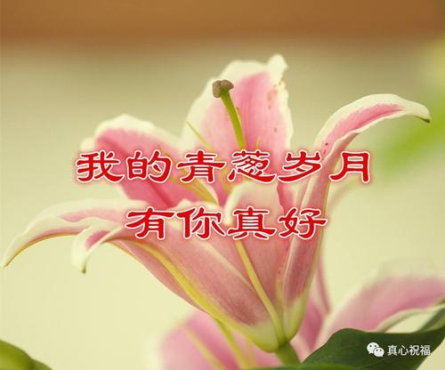 《老婆今生有你真好》LRC歌词 《老婆今生有你真好》(大北农兄弟(吴庆国))歌词555uuu下载