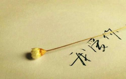 《爱已成风》LRC歌词 《爱已成风》(张信哲)歌词555uuu下载