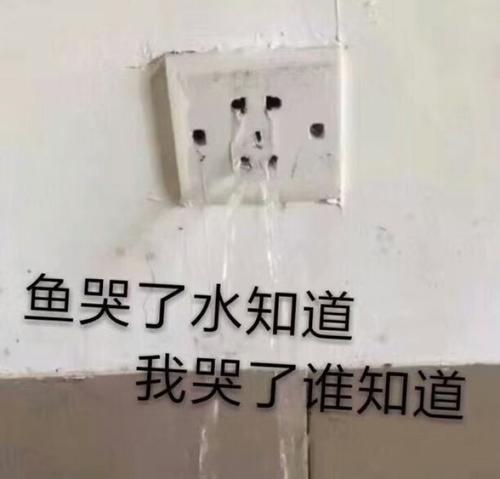 《鱼哭了水知道》LRC歌词 《鱼哭了水知道》(苏童童&蒋墨安)歌词555uuu下载