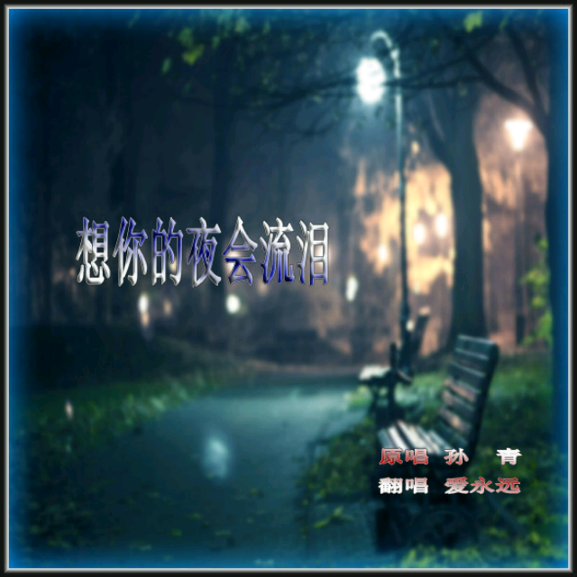 《想你的夜会流泪》LRC歌词 《想你的夜会流泪》(孙青)歌词555uuu下载