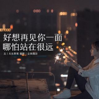 《好想再见你一面》LRC歌词 《好想再见你一面》(暴林)歌词555uuu下载