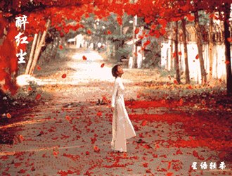 《等醉红尘》LRC歌词 《等醉红尘》(伊然)歌词555uuu下载