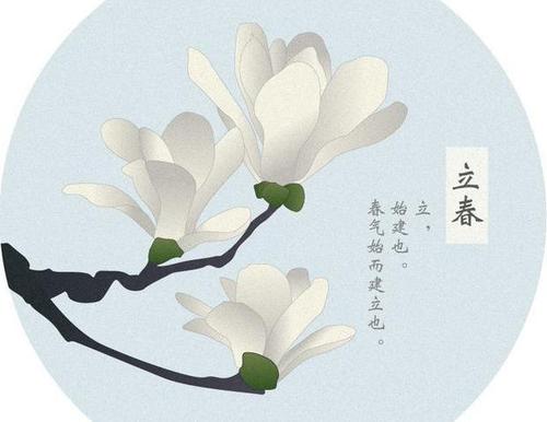 《立春》LRC歌词 《立春》(音阙诗听/小魂)歌词555uuu下载